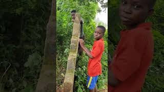 Enfumer Un Rat Dans Son Trou Pour Le Capturer.