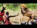 Maasai Attacks The Lion King With Weapons To Rescue Poor Zebra - Maasai Attack Lion