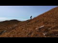 Wild Vertical Running