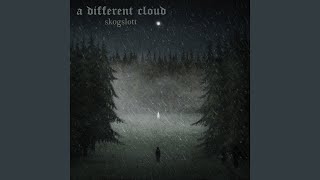 A Man in the Forest - A Different Cloud