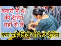 #बकरी पालन कोर्स #बकरी में Ai की प्रैक्टिकल ट्रेनिंग Bakri palan course