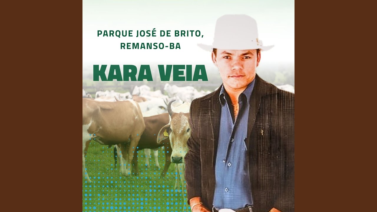 Ela Chorou de Amor (Ao Vivo)