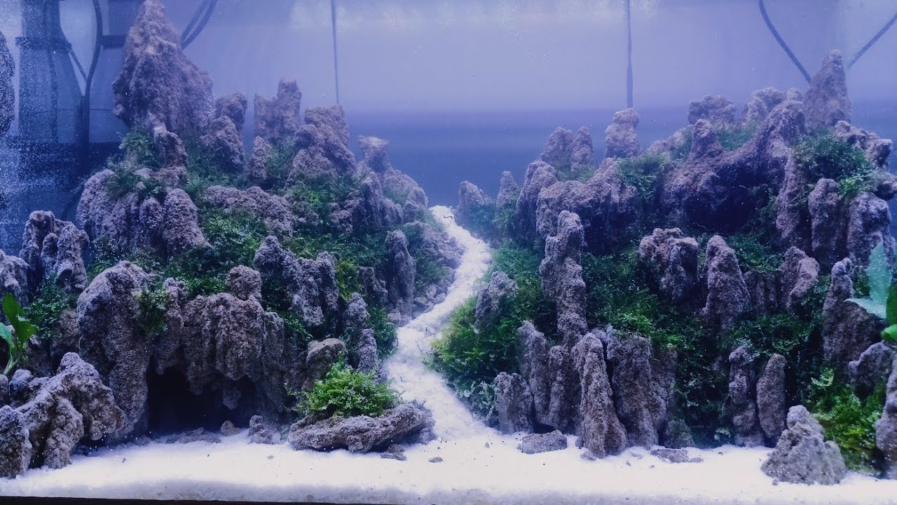 Aquascape tema bukit - YouTube