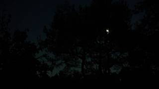Moonlight Timelapse