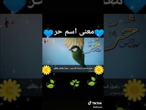 معنى اسم حر