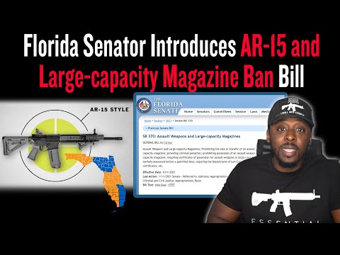 Florida Senator Introduces AR-15 and Large-capacity Magazine Ban Bill SB 370