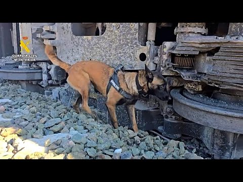 Zugunglück in Spanien: Spürhunde für ...