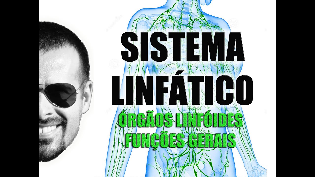 Sistema Linfático - Órgãos linfóides e funções gerais - Anatomia Humana - VideoAula 029 fisiologia respiratoria