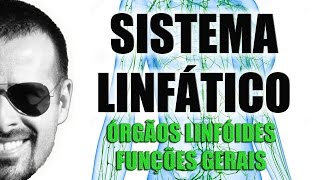 Sistema Linfático - Órgãos linfóides e funções gerais - Anatomia Humana - VideoAula 029