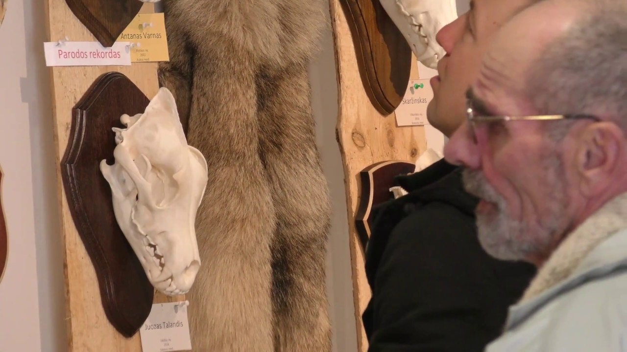 Medžioklės trofėjų parodoje Alytuje – ir rekordinių ragų kolekcijos