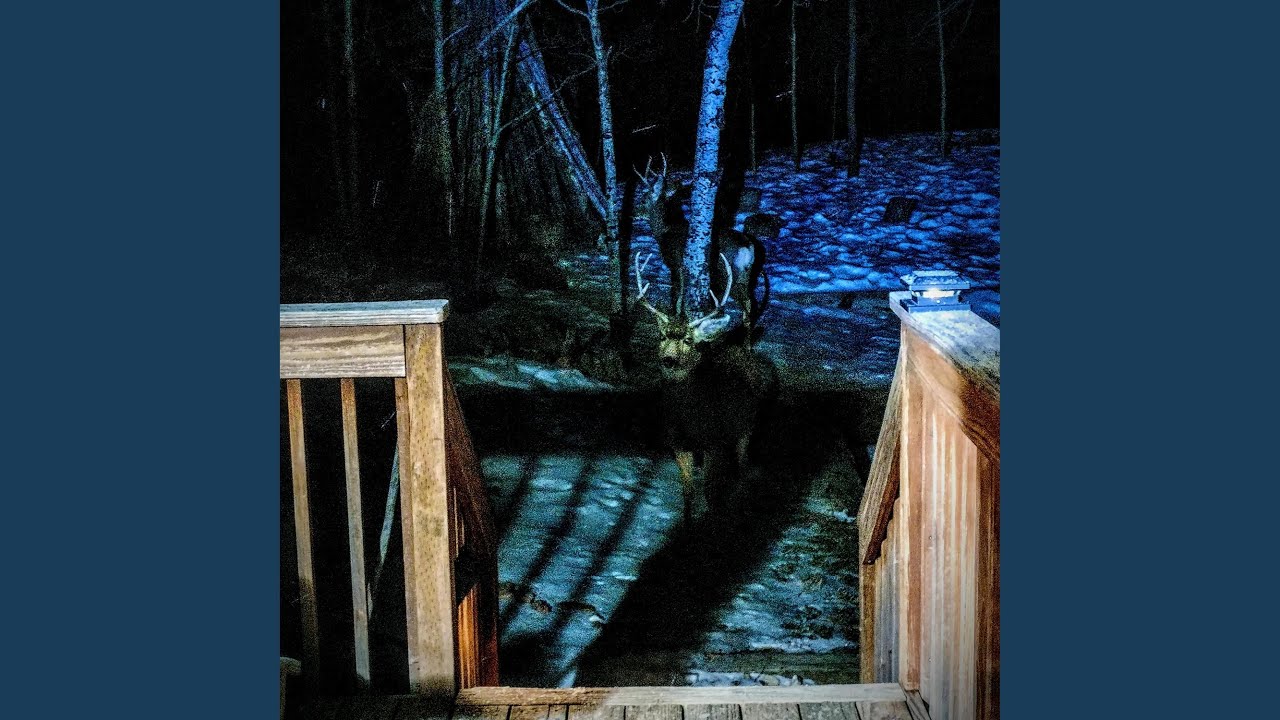 Guarda key su YouTube Guarda key su YouTube