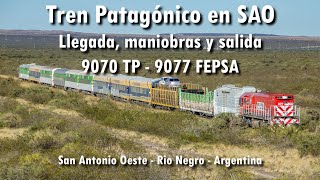 Tren Patagónico con la 9077 por San Antonio Oeste