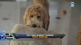 The Royal Half's Bark Madness Champions on FSW - April 2nd, 2015