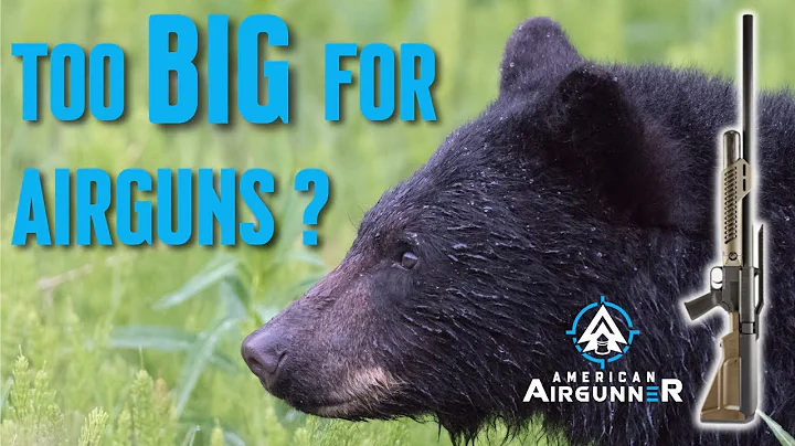 Umarex Hammer .50 caliber Airgun Hunt | American Airgunner