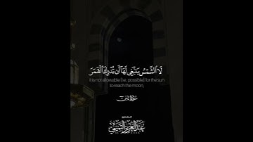 ﴿.. وَكُلٌّ في فَلَكٍ يَسبَحونَ﴾ | القارئ: عبدالعزيز التميمي