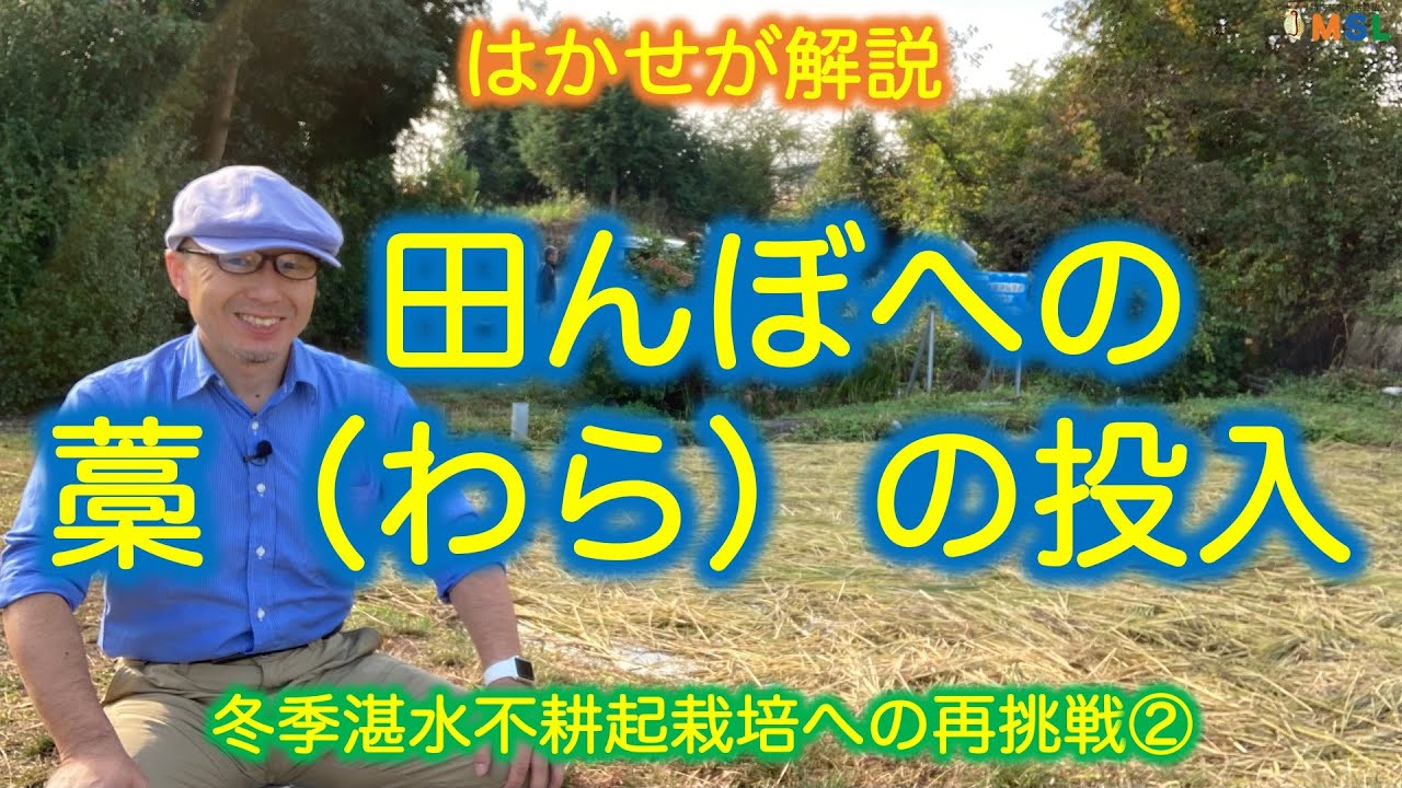 Dr. Hakase explains 