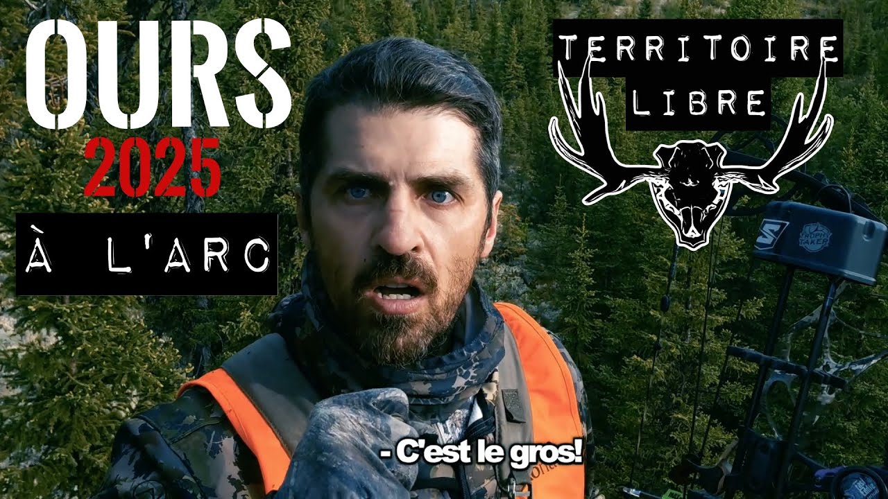 Chasse à l'arc - Ours 2025 - TERRITOIRE LIBRE