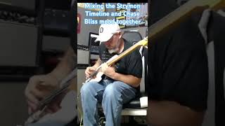 Mixing the Strymon Timeline and Chase Bliss Mood Together (On Bass) 🌌🎸