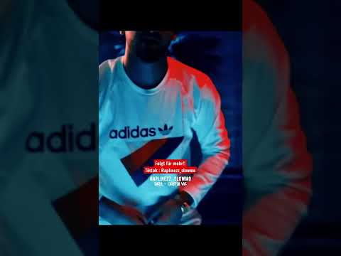 Delil Cest La Vie Raplinezz Slowmo