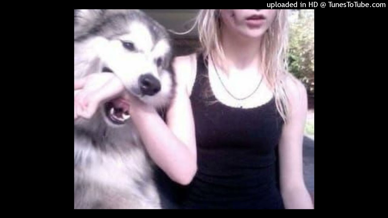 1millionblunts  - dean blunt + alex g + indie bedroom rock type beat