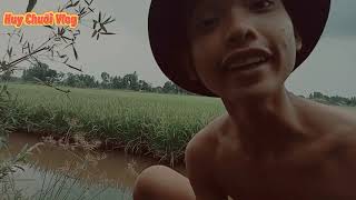 Huy Chuối Vlog Cả Team Ra Ruộng Nướng Cá Và Cái Kết ....