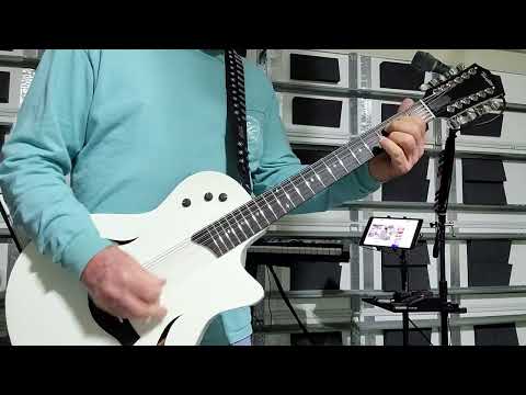T5z Taylor 12 string Extreme test drive! 😎