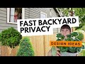 How to design instant privacy for your yard  diy landscape design strategy