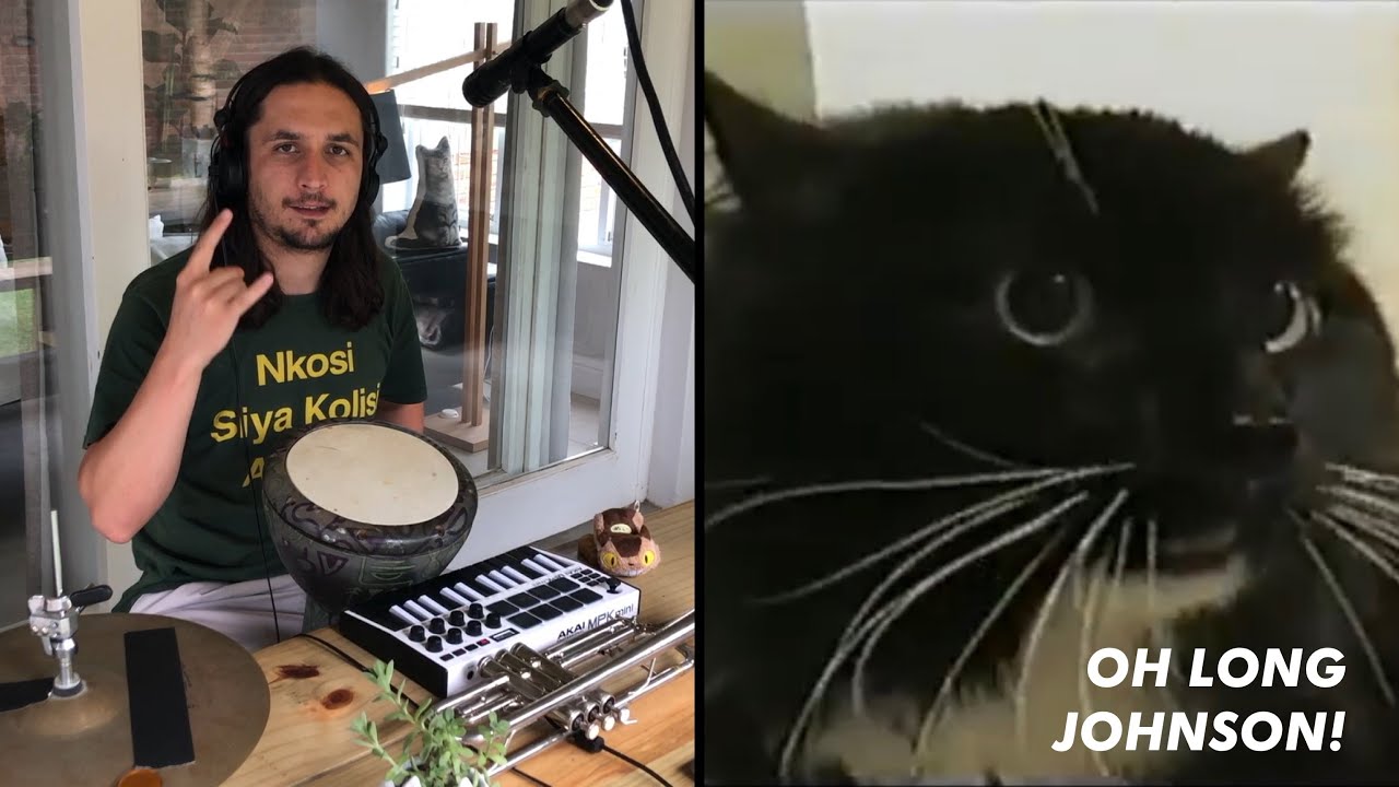 Stream Talking Cat Says Oh Long Johnson by BcaPd