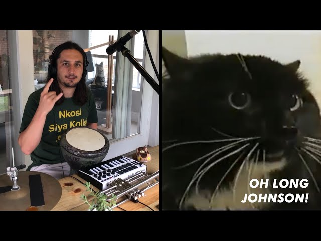 Oh Long Johnson x The Kiffness (Talking Cat Live Looping Reggae Remix) 