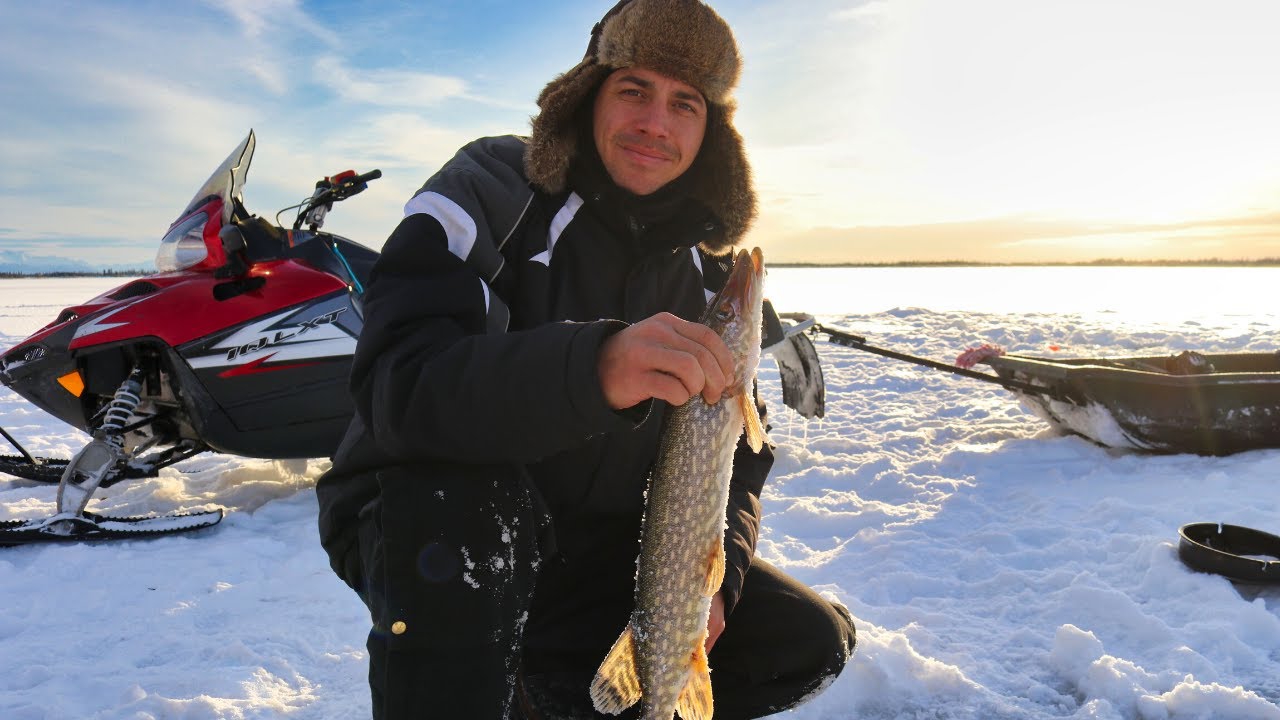 Remote Ice Fishing Alaska | Catch & Cook Northern Pike - youtube