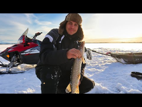 Video Remote Ice Fishing Alaska | Catch & Cook Northern Pike - youtube