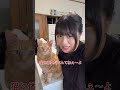 多頭飼育あるある