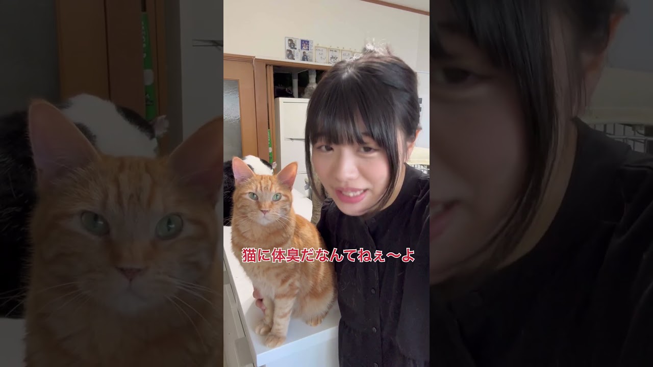 多頭飼育あるある