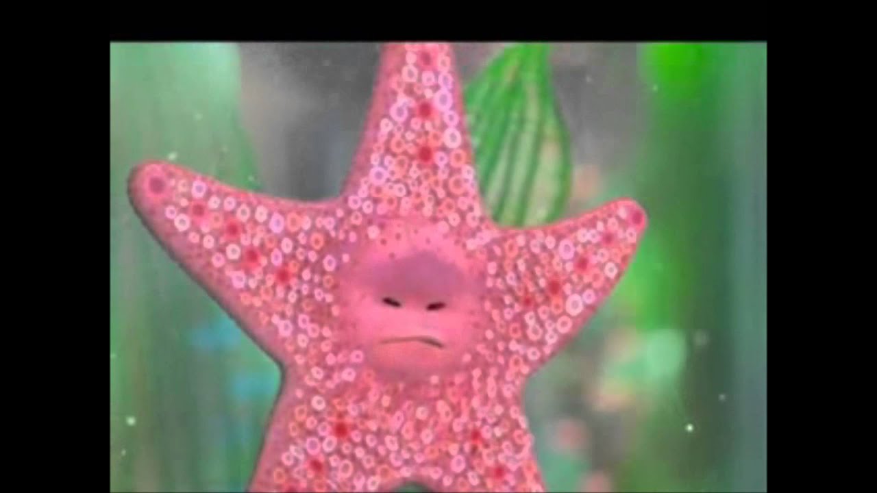 Buscando a Nemo. El tanque esta limpioooo - YouTube