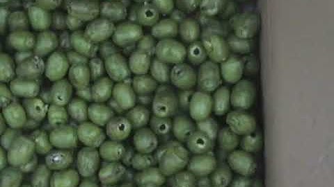 automatic olive pitting machine/cherries core removing machine/apricot stone pitter machine