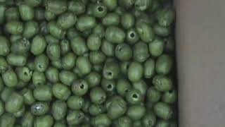 automatic olive pitting machine/cherries core removing machine/apricot stone pitter machine