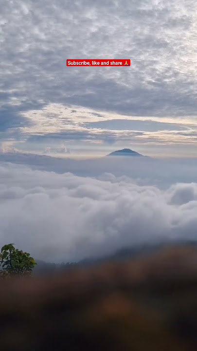 Samudera awan, di puncak Gunung Sagara #shortsvideo