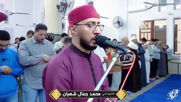 سورة الممتحنة بصوت خاشع باكي | القارئ محمد جمال شعبان | صلاة التراويح | Surah Al-Mumtahanah  