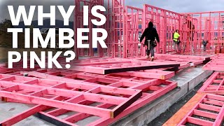 Why is New Zealand Timber Pink???