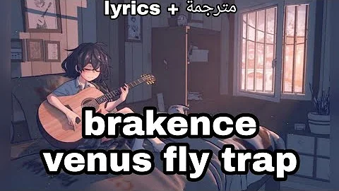 brakence - venus fly trap