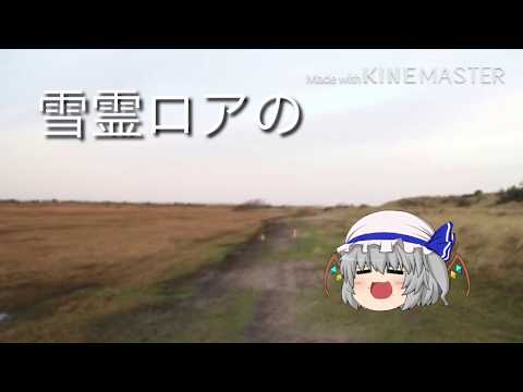 【実況者】アールさんとのコラボです