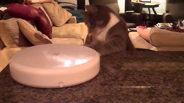 FroliCat FLIK Interactive Cat Teaser Toy