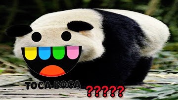 9 "Toca Boca Intro" Sound Variations in 40 Seconds