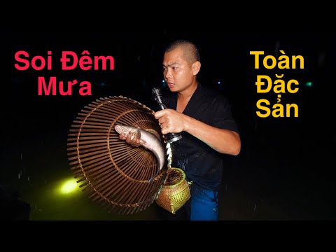 Soi Đêm Ngày Mưa Gió, Mukbang Đặc Sản Ít Ai Dám Thử Nhưng Siêu Ngon