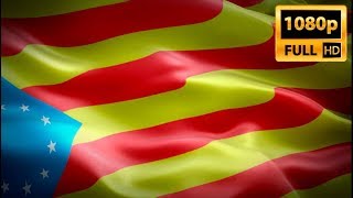 Estelada flag waving in wind video footage Full HD. Realistic Catalan Flag background. Catalan screenshot 4