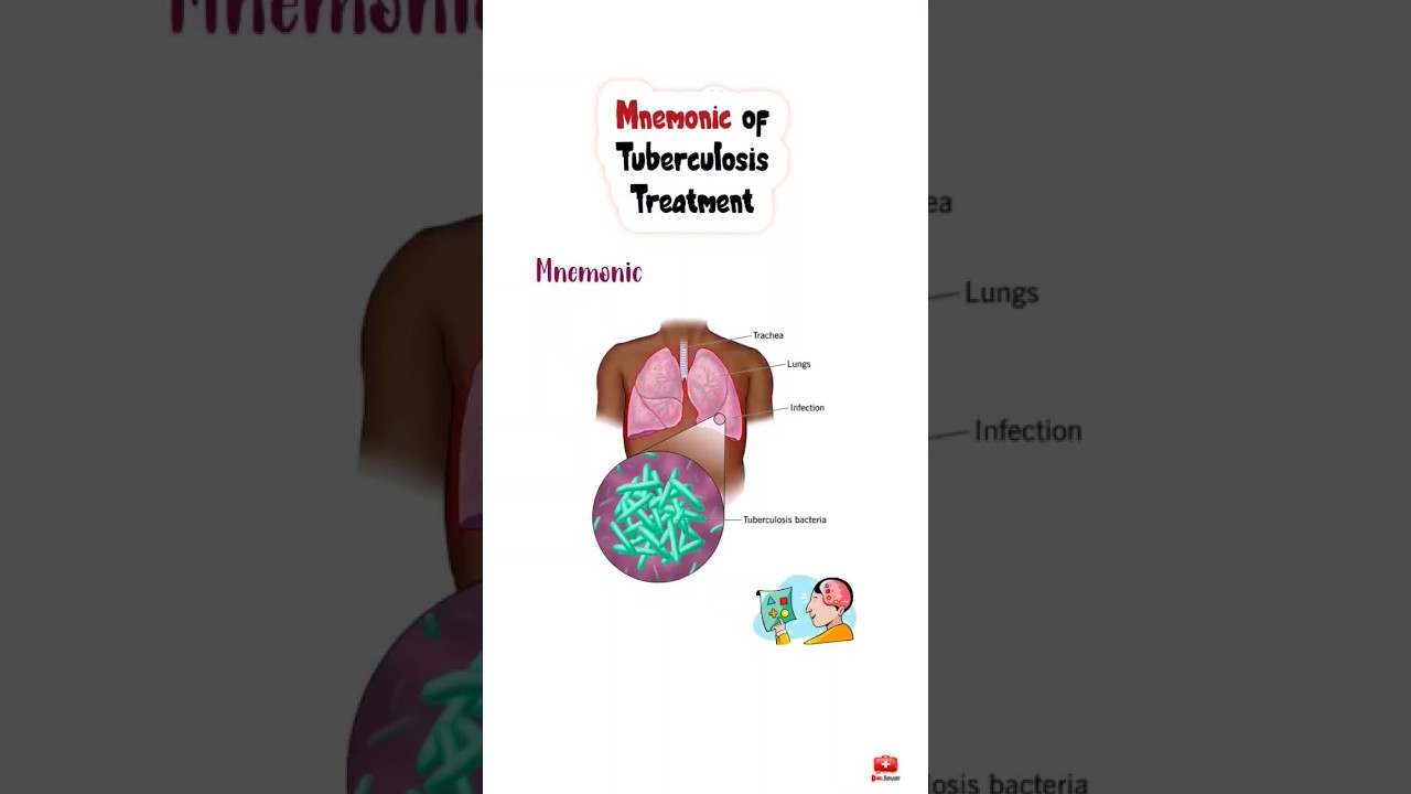 Mnemonic for tuberculosis treatment#tuberkulosis#treatment#pharmacology#medical#mnemonic#mbbs#viral