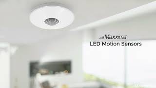 Maxxima LED Motion Sensors