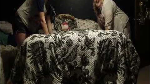 The Lazy Song by Bruno Mars Music Video Parody