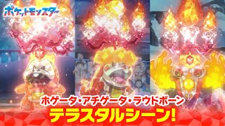 【公式】アニメ「ポケットモンスター」｜ホゲータ・アチゲータ・ラウドボーンテラスタルシーン