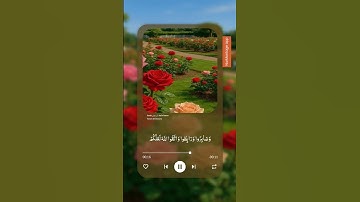 سورة آل عمران 🦋💙 #ارح_قلبك #تلاوة_خاشعة #اكسبلور #قرآن_كريم #دويتو #تيك_توك #ترند #حالات_واتس